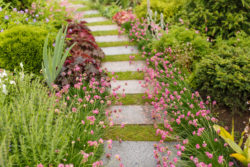 A paved pathway built for landscaping and gardening
